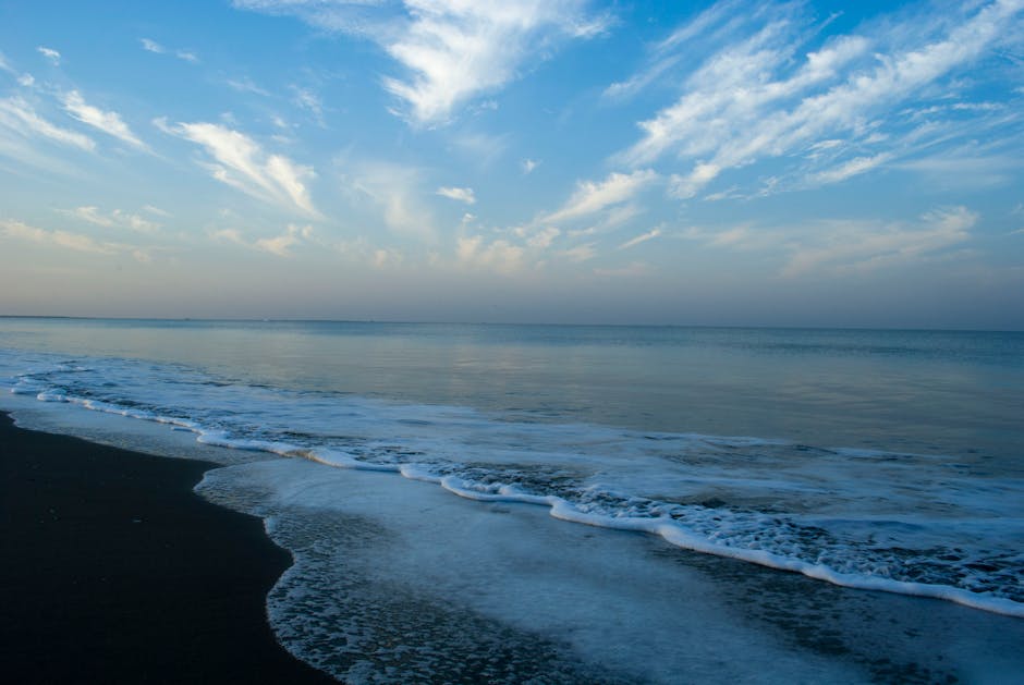 ofen gerösteter brokkoli