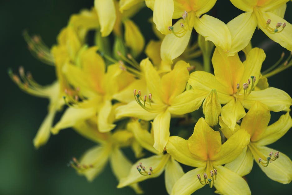 skorpion-mann und fische-frau im bett