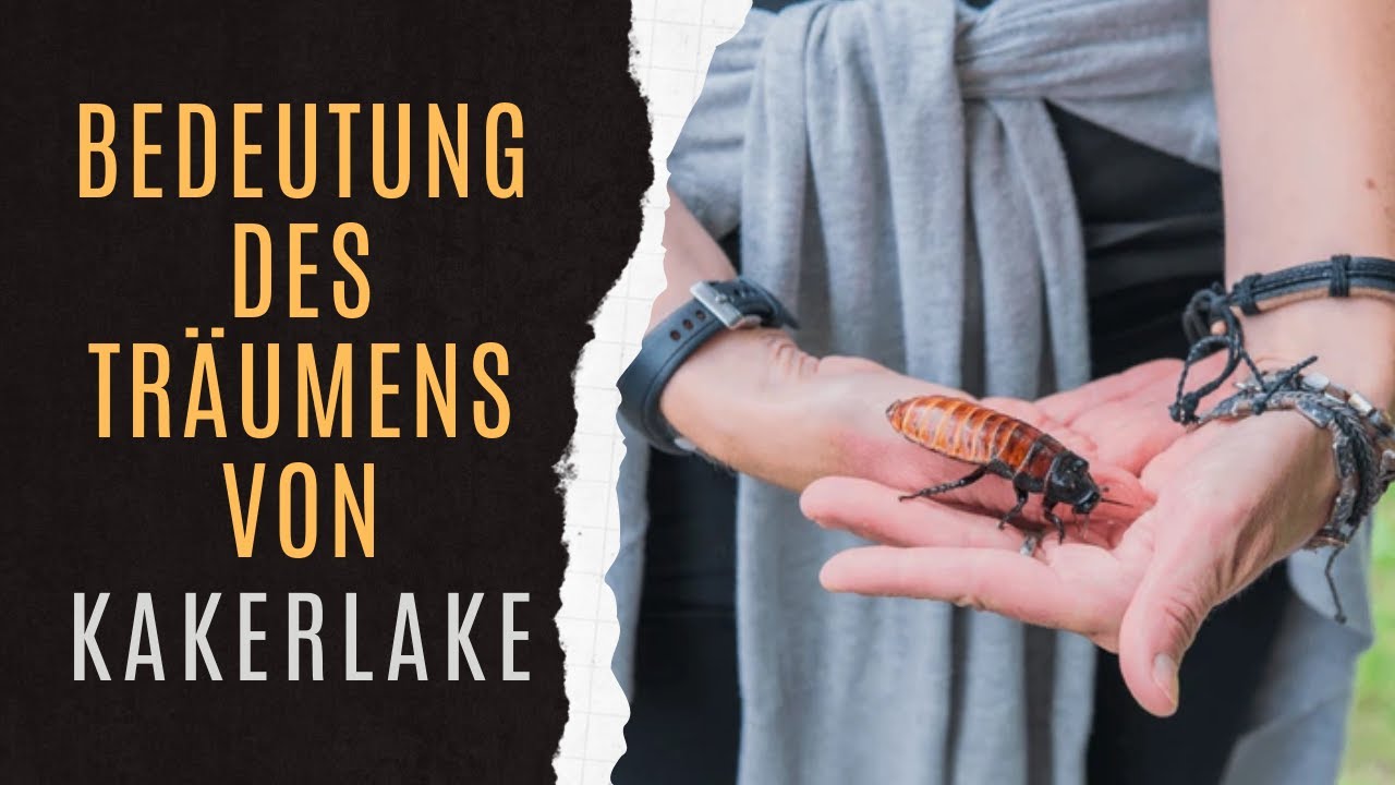 kakerlake spirituelle bedeutung