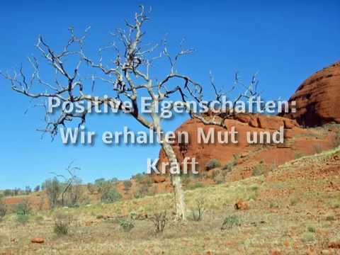 weißer wolf traumdeutung