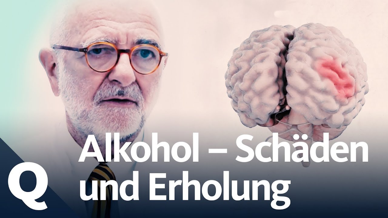 alkohol hirnschädigung