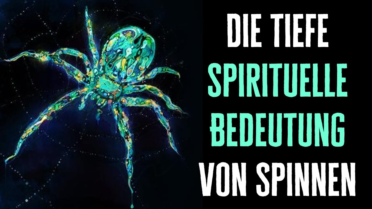 spinnen spirituelle bedeutung