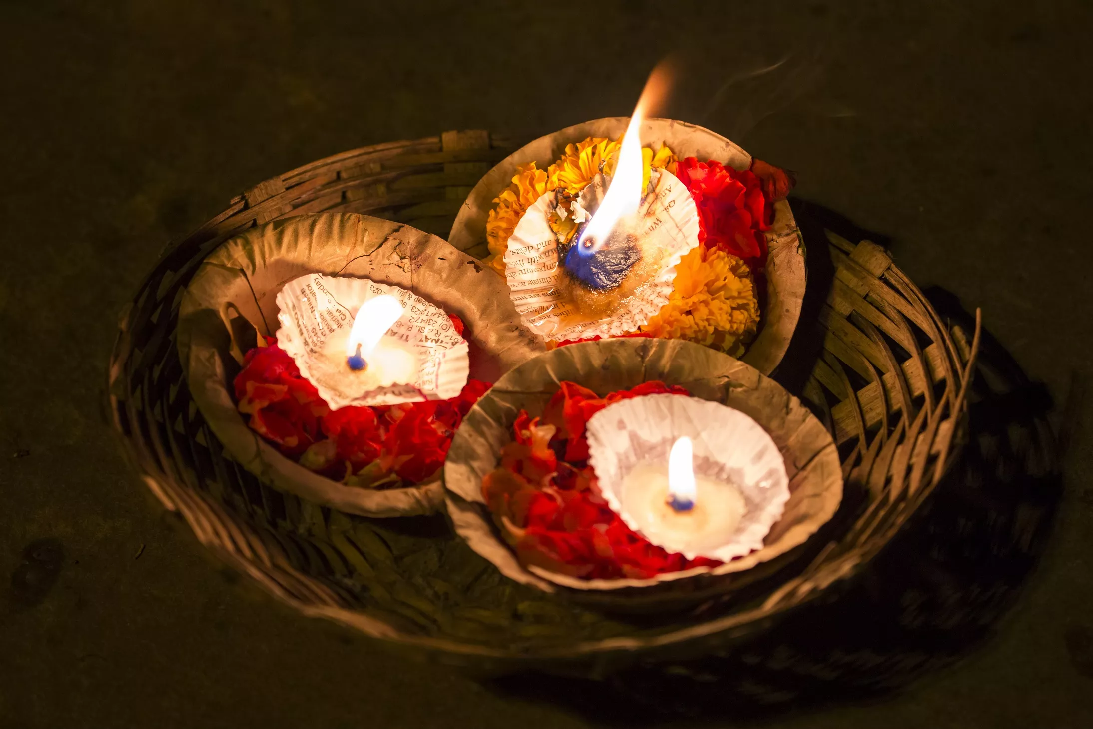 Hur man får en fiskkvinna att förlåta dig: