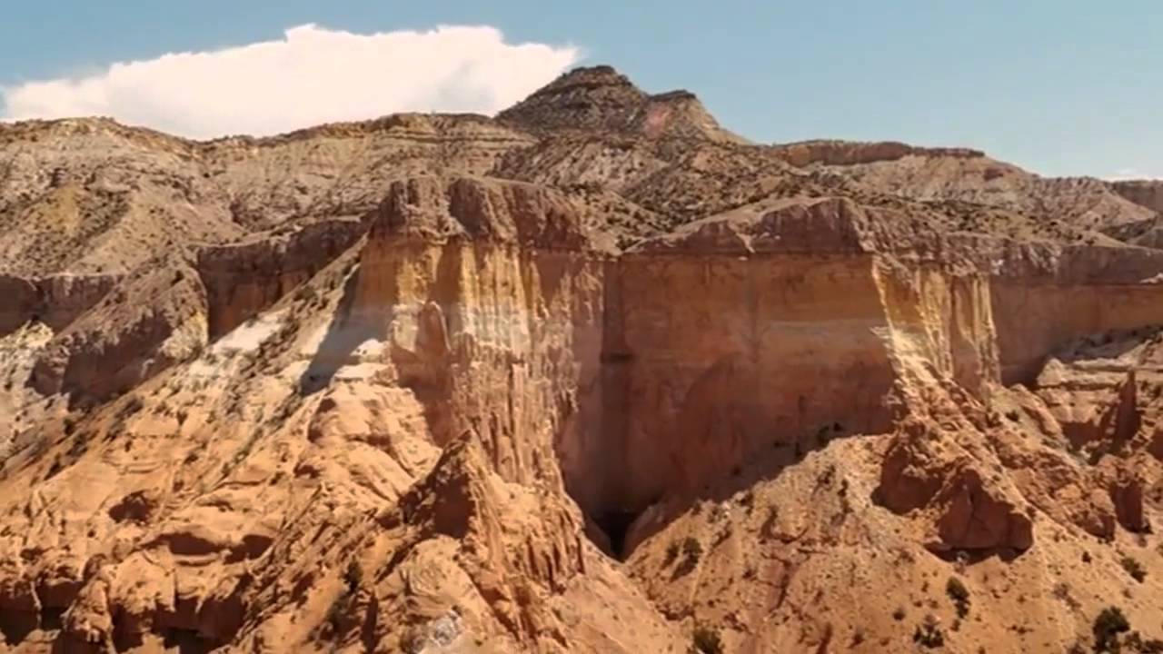 a world of dinosaurs