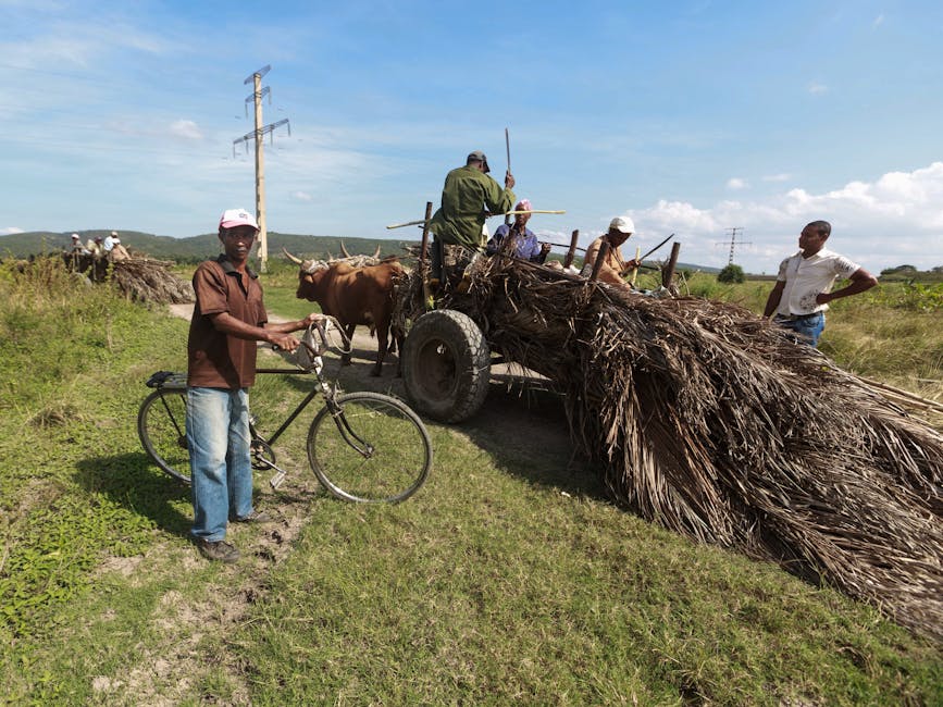 oxen stjärntecken kärlek