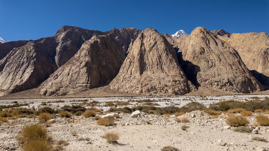 stjärntecken 4 augusti
