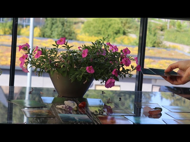 vattuman och tvilling