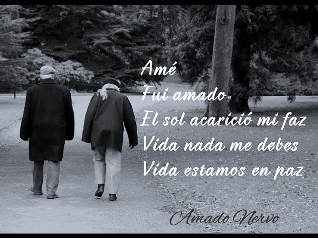 vida nada te debo vida estamos en paz